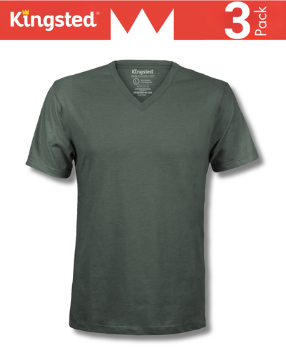 Short Sleeve V-Neck T-Shirts Multipack (Royal 3 Pack)